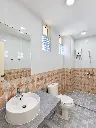 VV6-31 05.webp